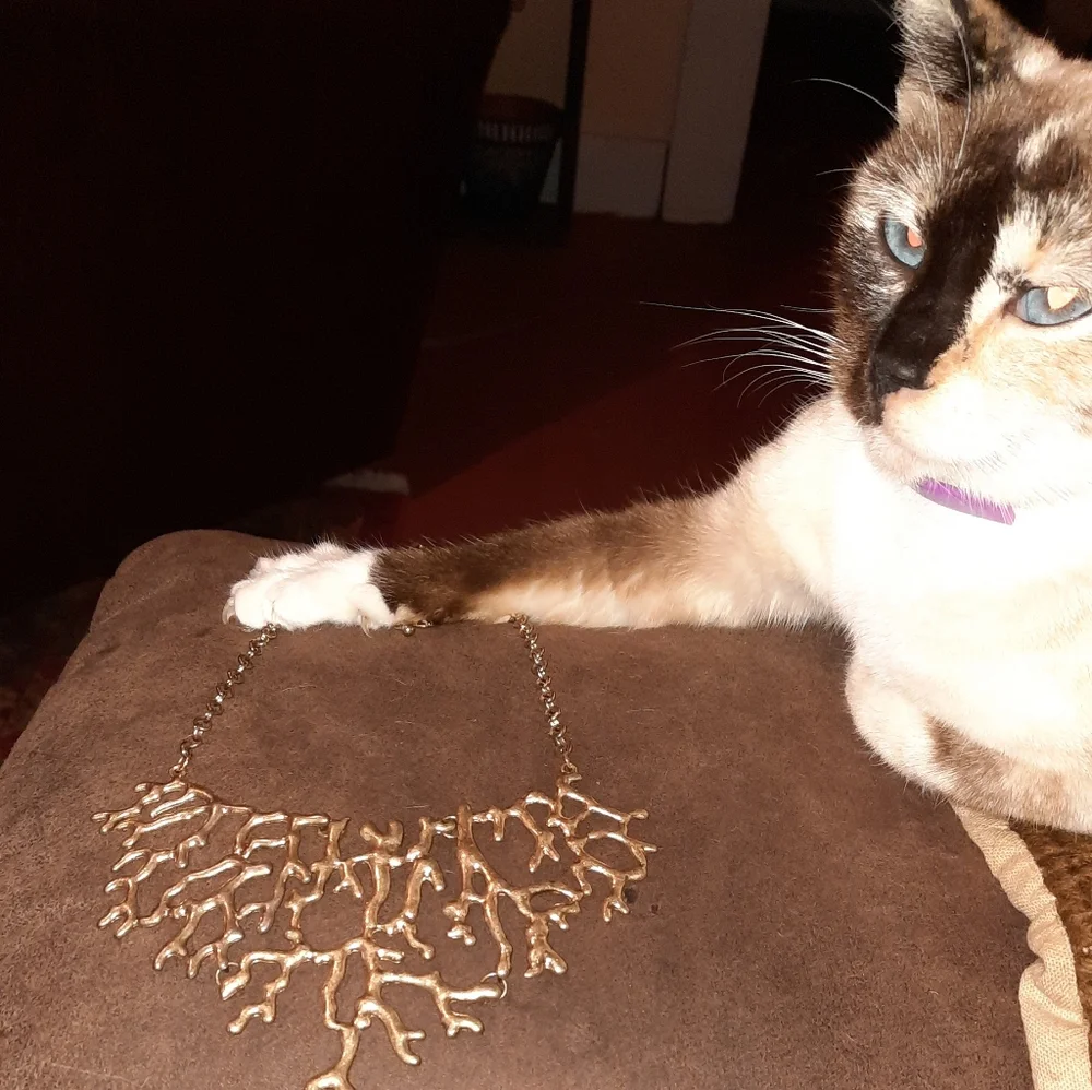 Goldtone branch statement bib necklace adjustable length - Picture 6 of 6